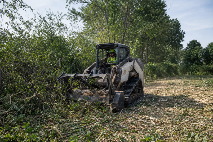 Forestry mulcher clearing brush while retaining mature trees